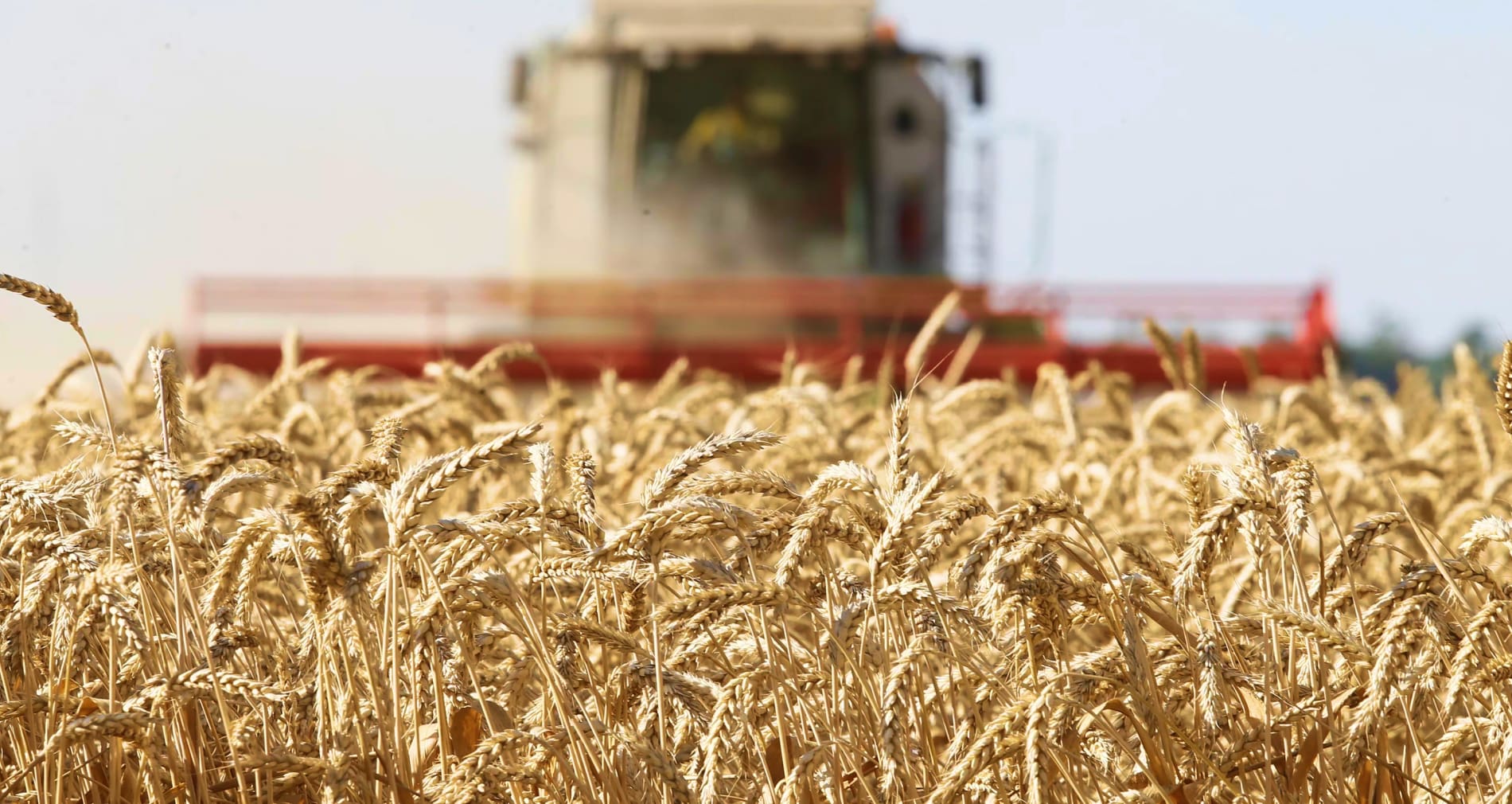 Поддержка производителей зерна и другие новости бизнеса